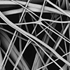 6 Forensics Fiber