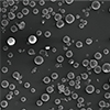 7 Functional Materials-Polymer Material after Coated