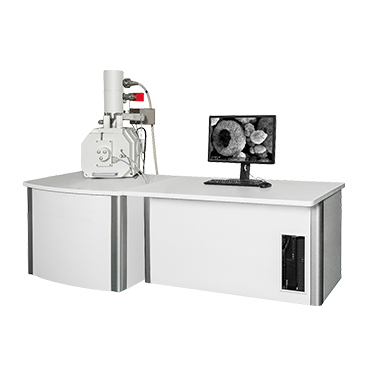 BSEM-810 Field Emission Gun Scanning Electron Microscope