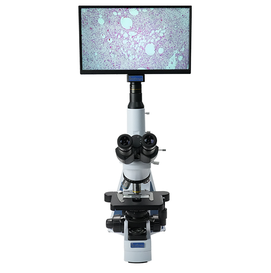 BLM5-241 LCD Digital Biological Microscope