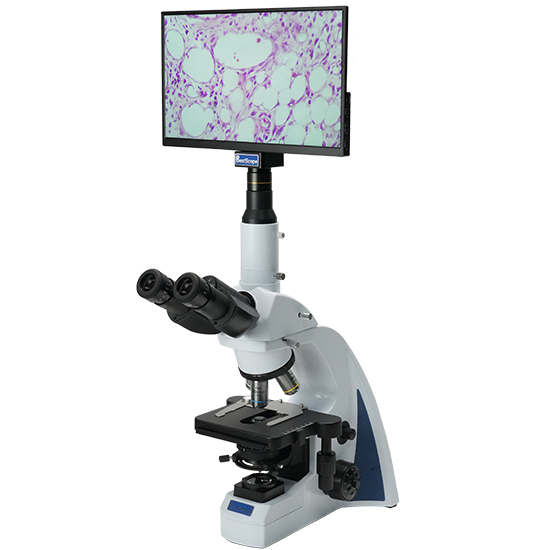 BLM5-241 LCD Digital Biological Microscope