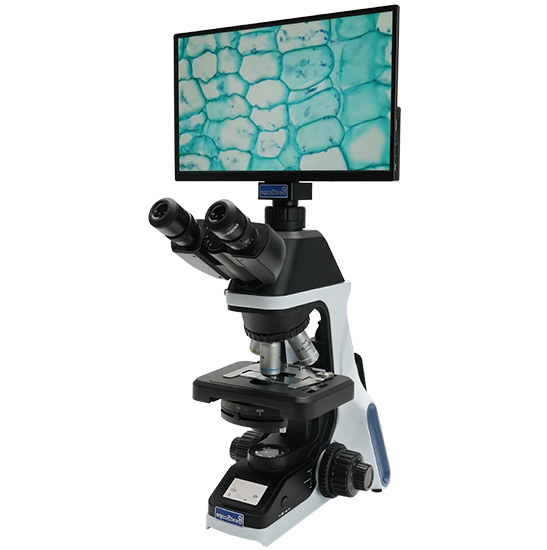 BLM5-246 LCD Digital Biological Microscope