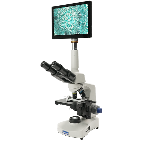 BLM4-221 LCD Digital Biological Microscope