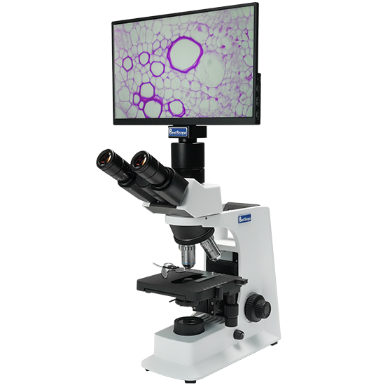 BLM5-236 LCD Digital Biological Microscope