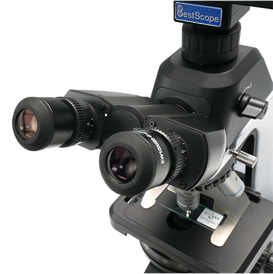 BLM5-246 LCD Digital Biological Microscope
