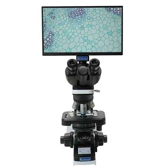 BLM5-246 LCD Digital Biological Microscope