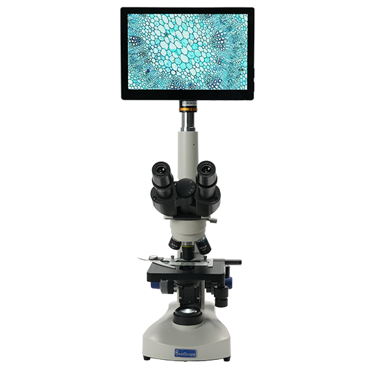 BLM4-221 LCD Digital Biological Microscope