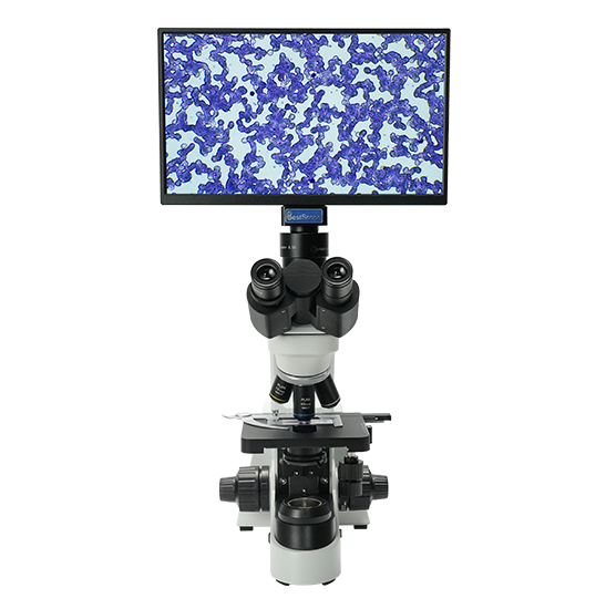 BLM5-227 LCD Digital Biological Microscope