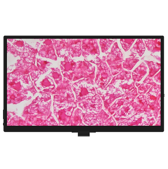BLM5-236 LCD Digital Biological Microscope