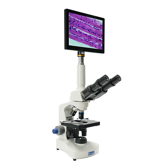 BLM4-221 LCD Digital Biological Microscope