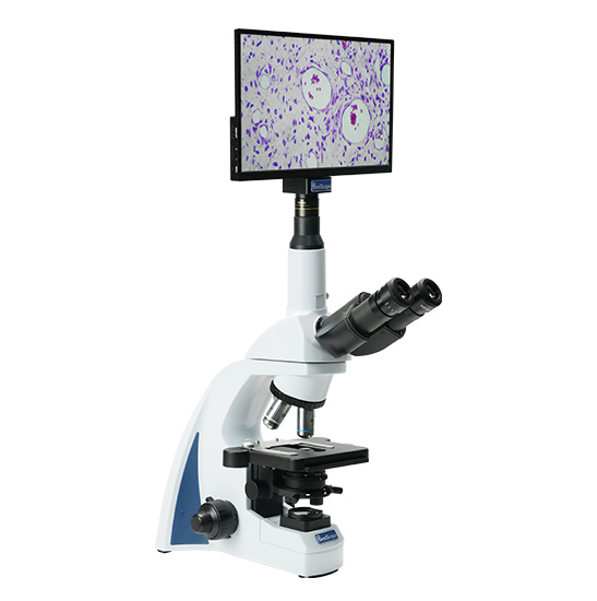 BLM5-241 LCD Digital Biological Microscope