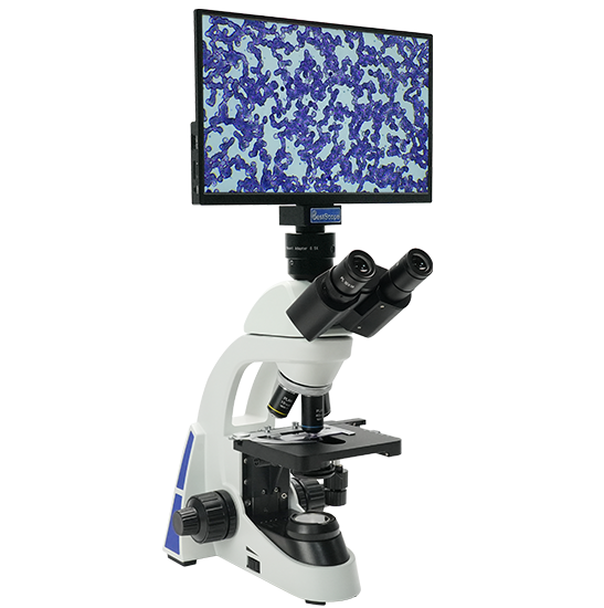 BLM5-227 LCD Digital Biological Microscope