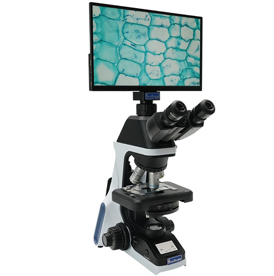 BLM5-246 LCD Digital Biological Microscope