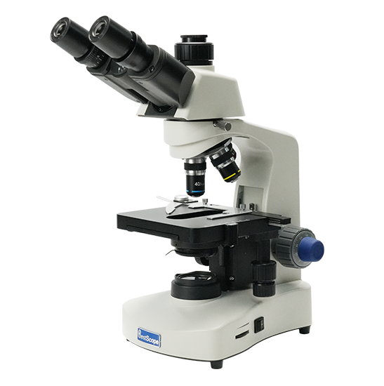 BLM4-220 LCD Digital Biological Microscope