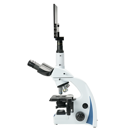 BLM5-241 LCD Digital Biological Microscope
