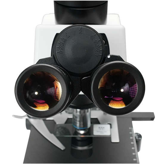 BLM5-236 LCD Digital Biological Microscope