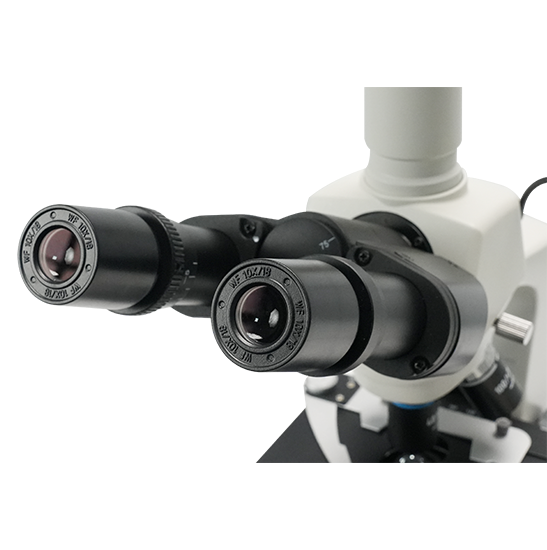 BLM4-221 LCD Digital Biological Microscope