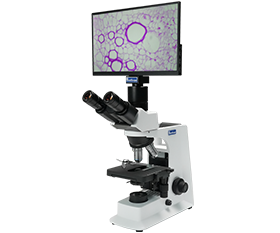 BLM5-236 LCD Digital Biological Microscope