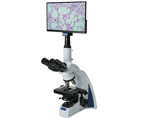 BLM5-241 LCD Digital Biological Microscope
