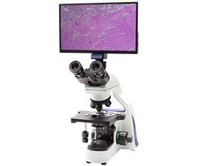 BLM5-243 LCD Digital Biological Microscope