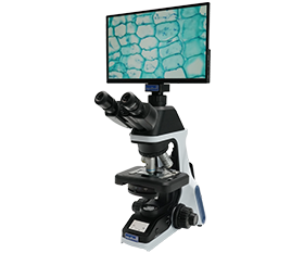 BLM5-246 LCD Digital Biological Microscope