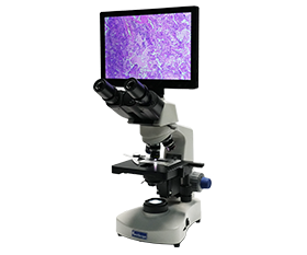 BLM4-220 LCD Digital Biological Microscope