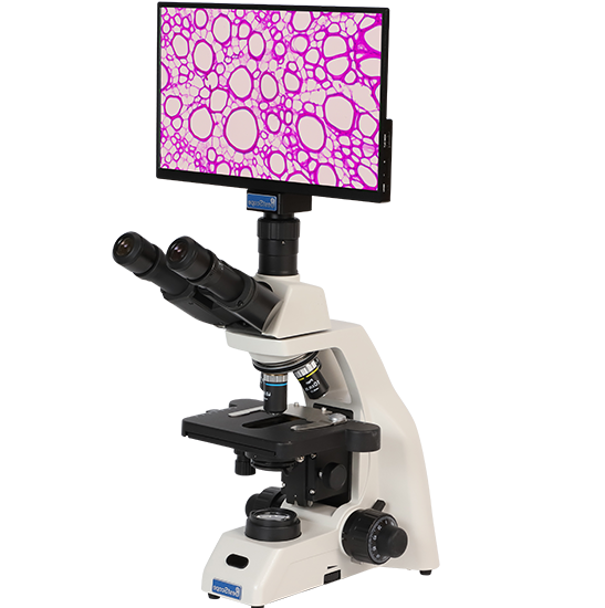 BLM5-252 LCD Digital Biological Microscope