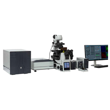 BCF297 Laser Scanning Confocal Microscopy