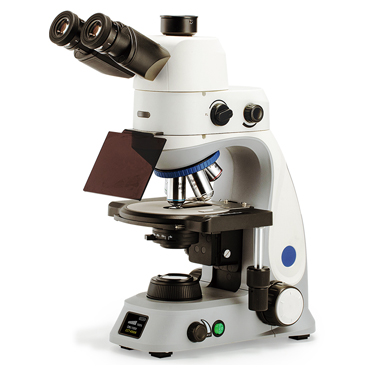 BS-2048FT(LED) Fluorescent Trinocular Biological Microscope