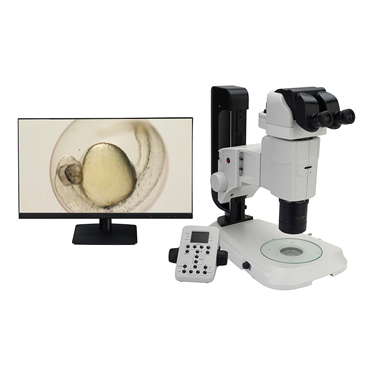 BS-3090M Motorized Research Zoom Stereo Microscope