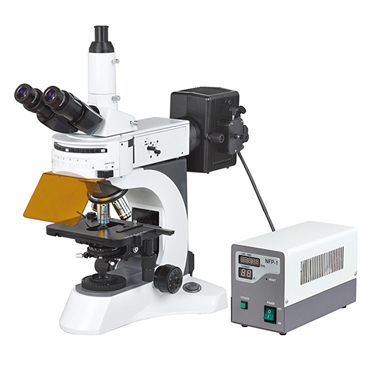 BS-7000A Upright Fluorescent Biological Microscope