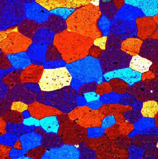 BS-5095BTRF Trinocular Research Polarizing Microscope