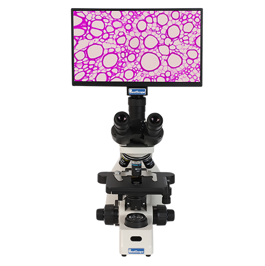 BLM5-252 LCD Digital Biological Microscope
