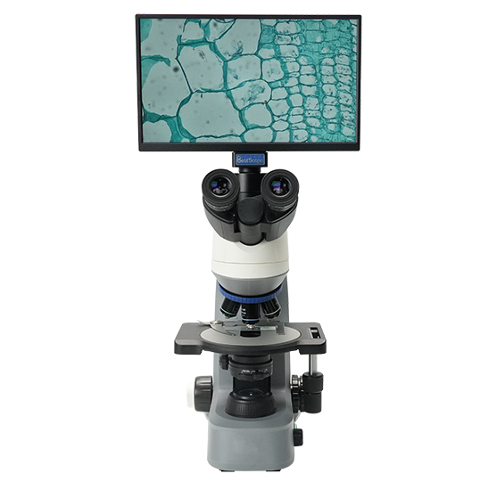 BLM5-247 LCD Digital Biological Microscope