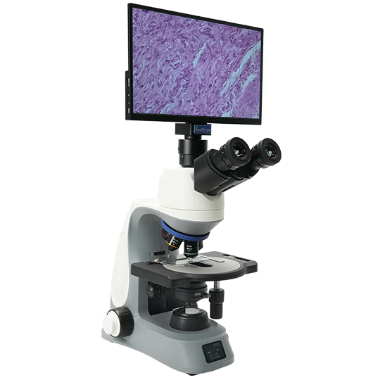 BLM5-248 LCD Digital Biological Microscope