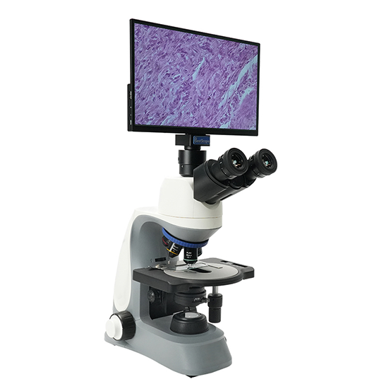 BLM5-247 LCD Digital Biological Microscope