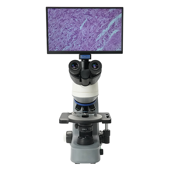 BLM5-247 LCD Digital Biological Microscope