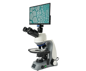 BLM5-248 LCD Digital Biological Microscope