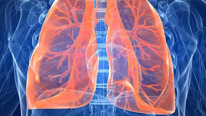 Pulmonary Tuberculosis Microscopy Instrument Solution