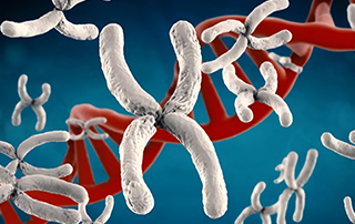 Karyotype Analysis Microscopy Instrument Solution