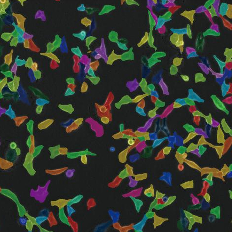 BCM2-300 Live Cell Imaging System