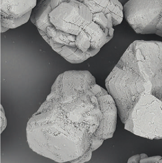 BDEM-20 Desktop Tungsten Filament Scanning Electron Microscope