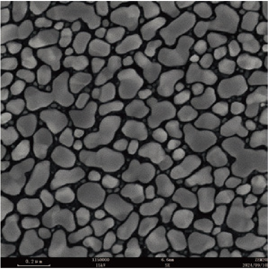 BDEM-25 Field Emission Desktop Scanning Electron Microscope