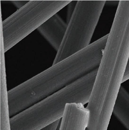 BDEM-20 Desktop Tungsten Filament Scanning Electron Microscope