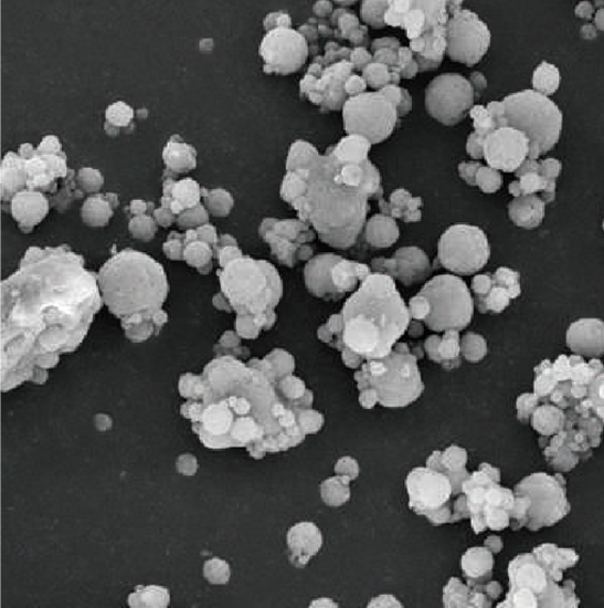 BDEM-20 Desktop Tungsten Filament Scanning Electron Microscope