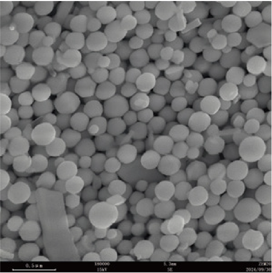 BDEM-25 Field Emission Desktop Scanning Electron Microscope