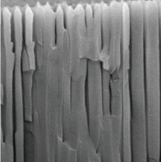 BDEM-20 Desktop Tungsten Filament Scanning Electron Microscope