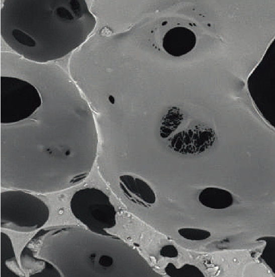 BDEM-20 Desktop Tungsten Filament Scanning Electron Microscope