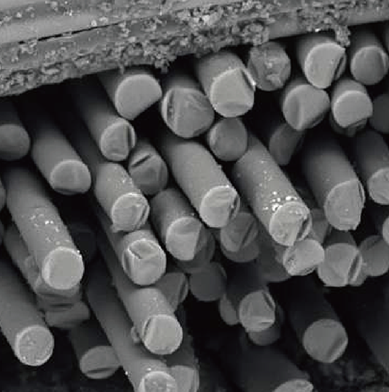 BDEM-18 Desktop Tungsten Filament Scanning Electron Microscope