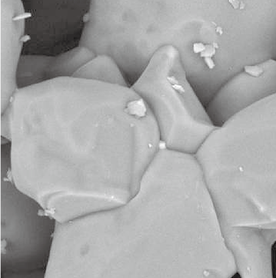BDEM-18 Desktop Tungsten Filament Scanning Electron Microscope